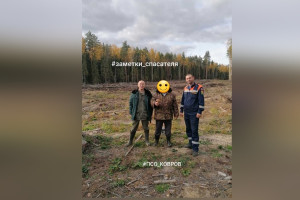 Во Владимирской области заблудившийся грибник сутки провел в лесу