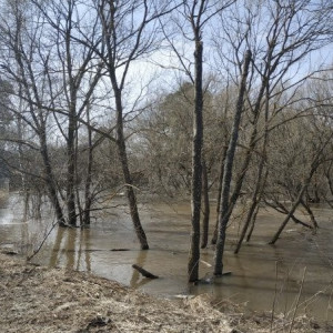 Во Владимирской области затопило 337 дворов и 8 участков дорог