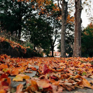 Новая рабочая неделя во Владимире начнется с ясной и солнечной погоды
