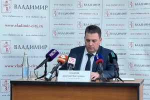 Мэр Владимира назвал тревожной ситуацию с общественным транспортом