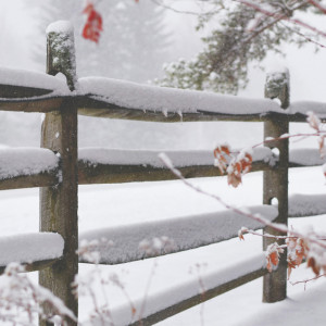 Прогноз погоды во Владимирской области на 13 февраля