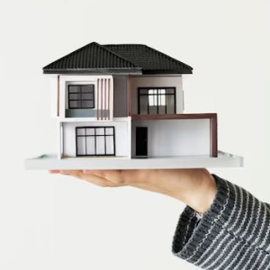 Многодетную семью из Петушков оставили без обещанной земли