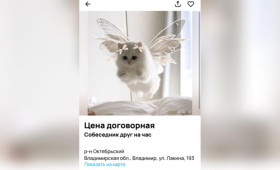 Во Владимире начали предлагать услуги собеседника на час