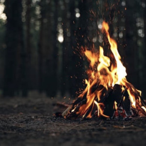 Во Владимирской области на неделю ввели особый противопожарный режим