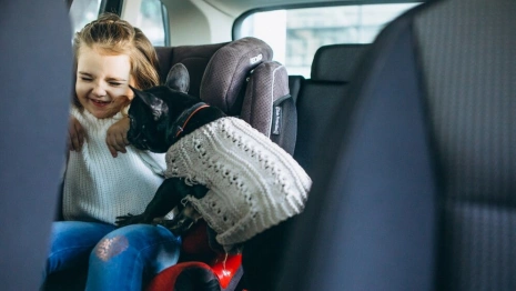 Во Владимире на Растопчина в ДТП пострадал 6-летний ребенок