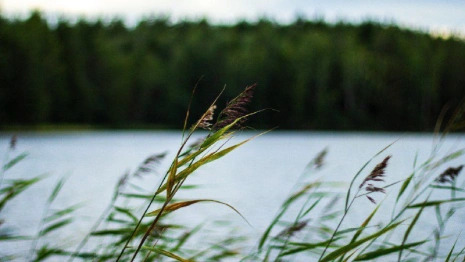 Евтихий Тихий: что можно и нельзя делать 6 сентября