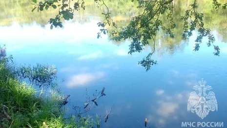 В реке под Александровом утонул 18-летний парень