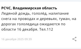 Во Владимирской области пойдет ледяной дождь 16 декабря