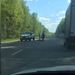 Во Владимирской области сбили девочку на лошади 