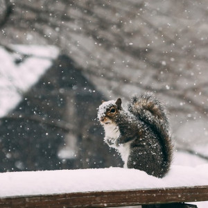 Погода во Владимирской области резко изменилась