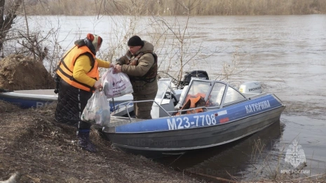 Во Владимирской области от воды освободились 18 дворов и 2 моста