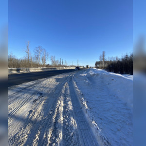 В Петушинском районе пожаловались на плохую уборку трассы М-7
