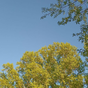 Прогноз погоды во Владимирской области на 13 мая