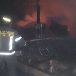 В деревне под Гусь-Хрустальным загорелась пилорама