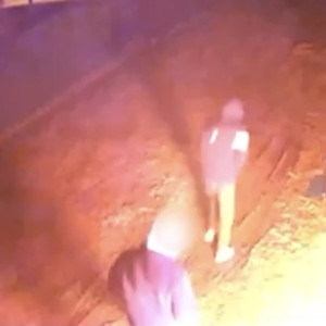 В Муроме двое молодых людей пытались поджечь магазин и попали в поле зрения камер