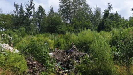 На Набережной в Лакинске нашли огромную стихийную свалку