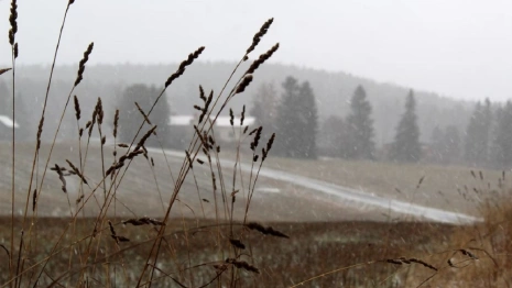 Жителям Владимирской области рассказали, когда ждать потепления