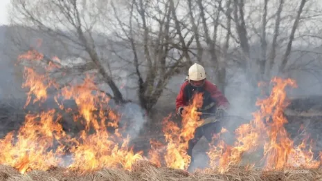 Во Владимирской области в Пасху потушили 25 ландшафтных пожаров