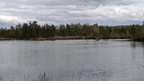 В Гусь-Хрустальном спасатели пятые сутки ищут 57-летнего мужчину