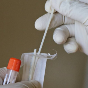 Во Владимирской области за сутки подтвердили COVID-19 у 20 человек