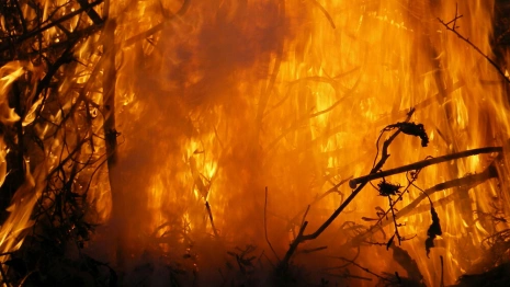 Запад Владимирской области оказался в зоне 4 класса пожароопасности