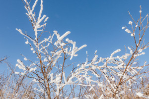 Прогноз погоды во Владимире и области на 8 февраля