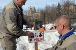 Во Владимире запретили выгул собак на газонах