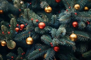 Появилось расписание новогодних елок во дворах Владимира