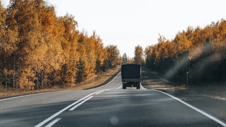 Двойная сплошная. Владимирцы перечислили улицы со спорной разметкой