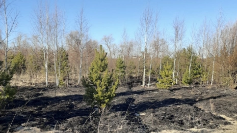 Около озера в Ковровском районе потушили еще один пал травы