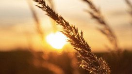 В 2026 году температура на Земле будет на 1,46 градусов выше нормы