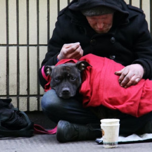 Во Владимирской области снизилось число безработных