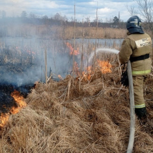 За сутки сухая трава во Владимирской области загорелась в 14 местах