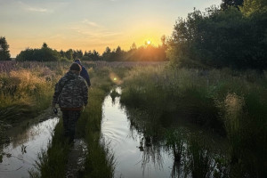 Владимирские волонтеры прочесали 100 км леса в поисках заблудившегося 64-летнего мужчины