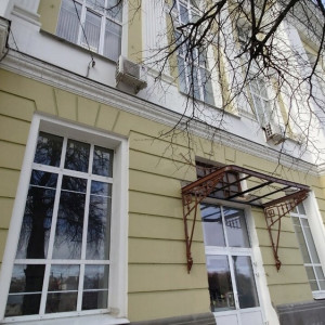 Двое врачей передумали увольняться из «Красного креста» во Владимире