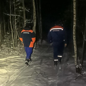 В Камешковском районе 76-летний рыбак заблудился в лесу