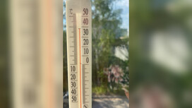 Во Владимирской области термометры показали +38 градусов на солнце