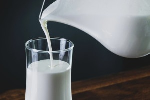 Во Владимирской области в 4,5% пробах молока нашли кишечную палочку