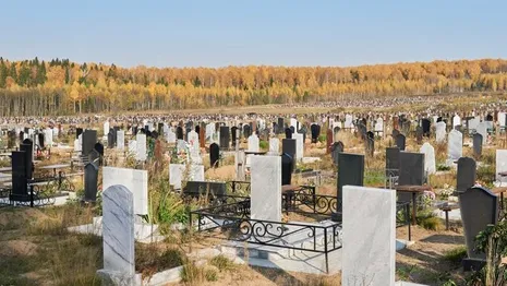 Во владимирском микрорайоне Лесной в 2024 году появится новое кладбище