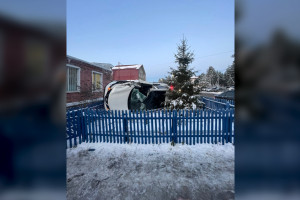 Иномарка влетела в приют «Атлант» под Владимиром