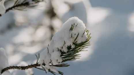 Прогноз погоды во Владимире и области на 24 ноября
