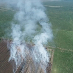 Во Владимирской области потушили все 6 лесных пожаров