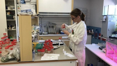 Школьница из Коврова стала победительницей федеральной премии