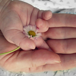 Беременную жительницу Владимира транспортировали на вертолете в Москву