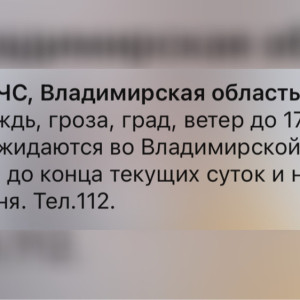 МЧС предупредило жителей Владимирской области о граде с грозой и урагане