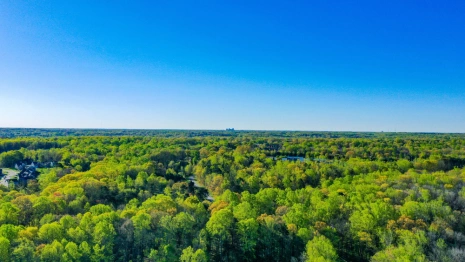 Эксперты назвали один комфортный город для поездок в золотую осень во Владимирской области