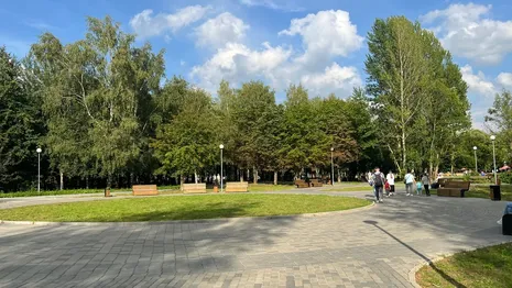 Доделывать парк «Добросельский» во Владимире будут зимой