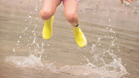 Сентябрь во Владимире начнется с летнего тепла и гроз