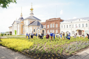 В Суздале восстановят частично утраченные живые изгороди
