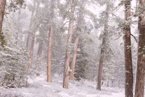 Во Владимире 44-летнего мужчину нашли живым